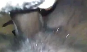 Ebony queen fickt sc ...